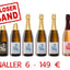 SILVESTERPAKET 6 // 4 FL Weissburgunder Sekt brut + 4 FL Riesling Sekt brut + 4 FL Rosé Sekt brut // versandkostenfrei
